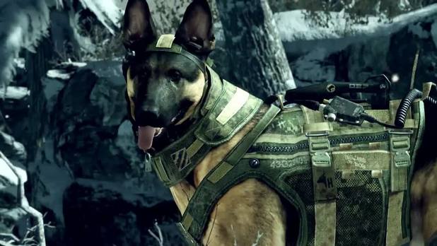 Activision Is Not Happy With A Dog Poop Cleaning Service. Here’s Why.