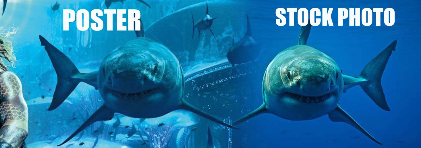 16 Aquaman Shark Comparison Check Out New Poster for Aquaman