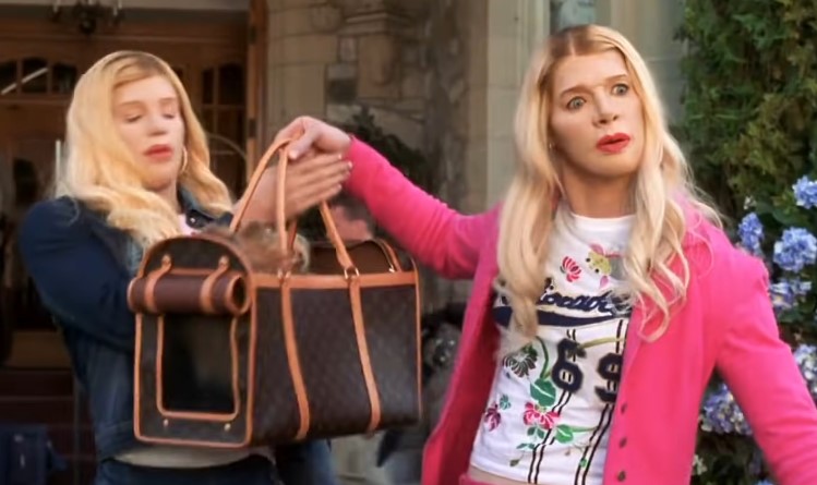 13 White Chicks 20 Perfect Movies to Watch When You're Stoned