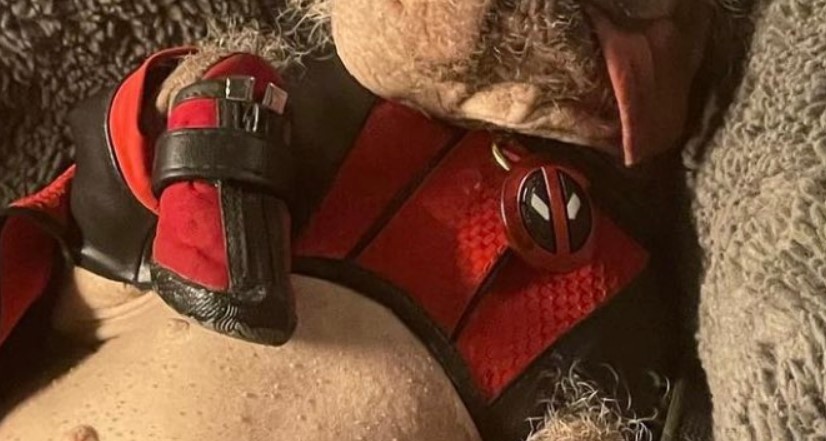 Check Out New Photo of Dogpool from Deadpool 3